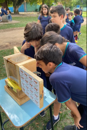 Educação Ambiental