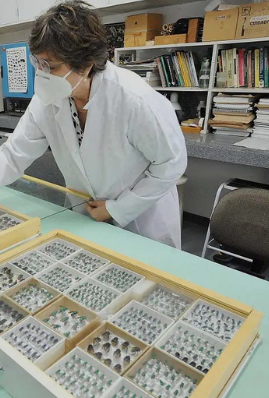 Educação Ambiental