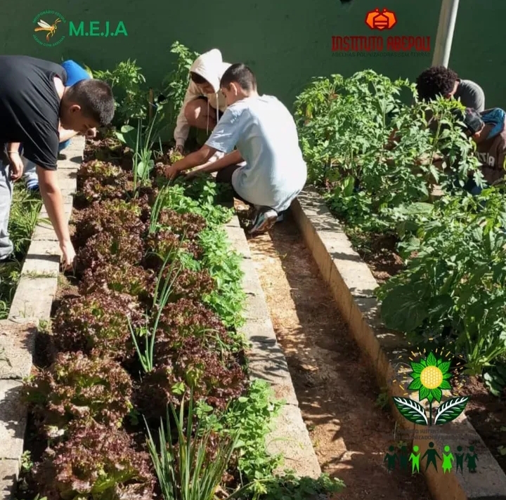 Escola Sonnewend Monteiro Lobato 