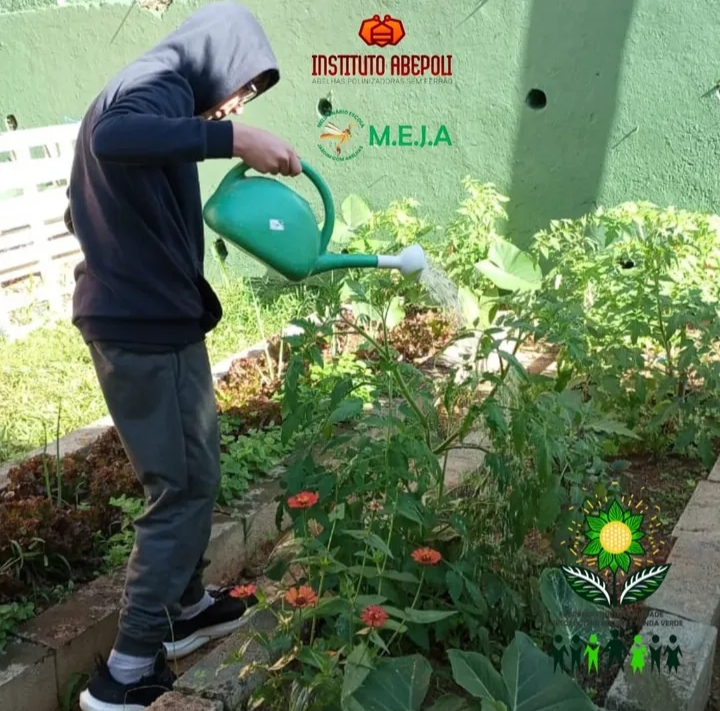 Escola Sonnewend Monteiro Lobato projeto Florando Sustentabilidade Insetos Polinizadores e Renda Verde.